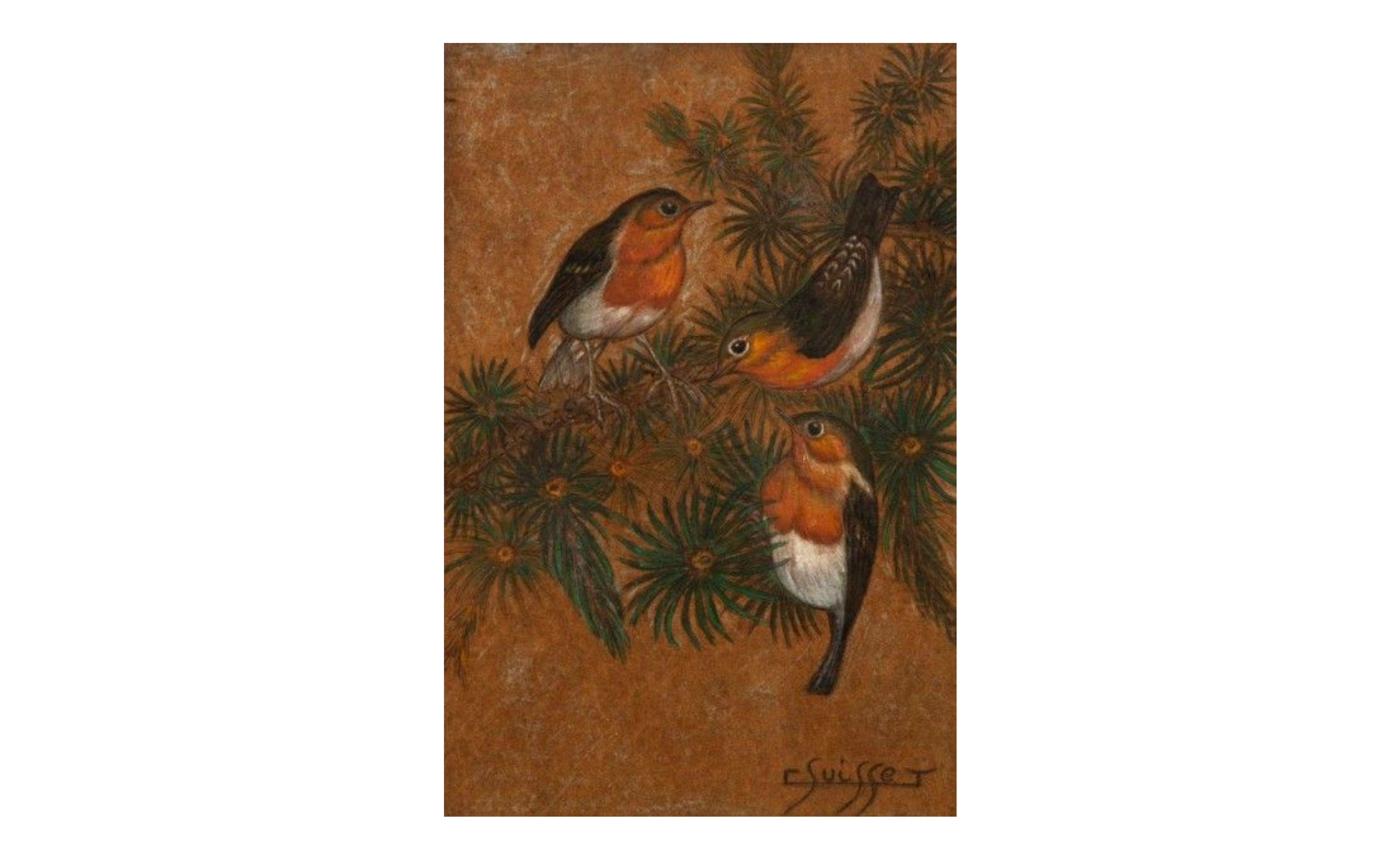 Rouges-gorges branchés.